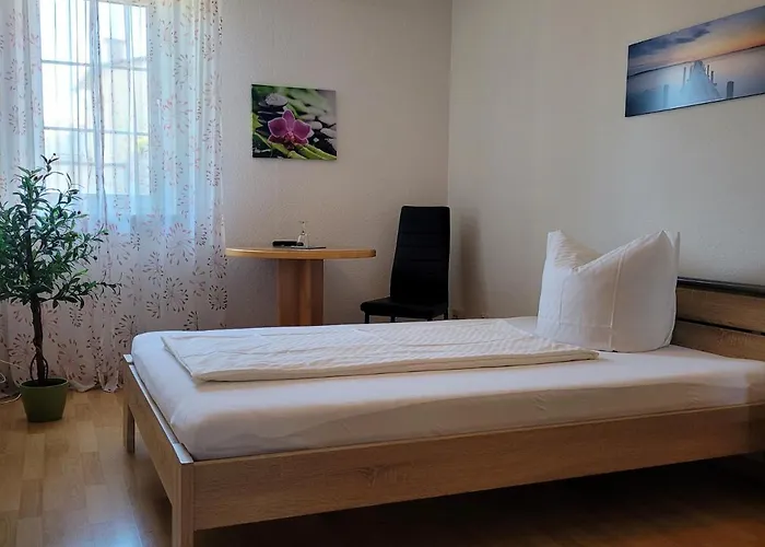 Scheffelhof 酒店 巴特塞京根